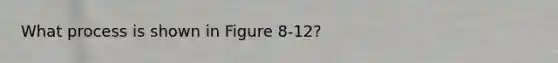 What process is shown in Figure 8-12?