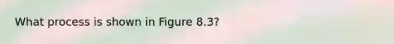 What process is shown in Figure 8.3?