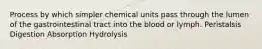 Process by which simpler chemical units pass through the lumen of the gastrointestinal tract into the blood or lymph. Peristalsis Digestion Absorption Hydrolysis