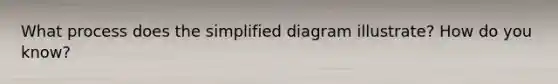 What process does the simplified diagram illustrate? How do you know?