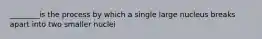 ________is the process by which a single large nucleus breaks apart into two smaller nuclei