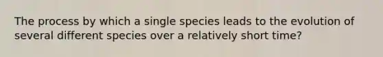 The process by which a single species leads to the evolution of several different species over a relatively short time?