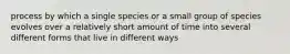 process by which a single species or a small group of species evolves over a relatively short amount of time into several different forms that live in different ways