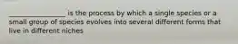 _________________ is the process by which a single species or a small group of species evolves into several different forms that live in different niches