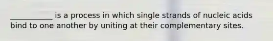 ___________ is a process in which single strands of nucleic acids bind to one another by uniting at their complementary sites.