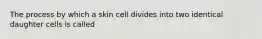 The process by which a skin cell divides into two identical daughter cells is called