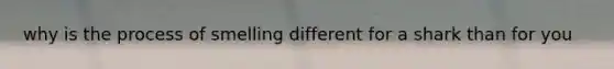 why is the process of smelling different for a shark than for you