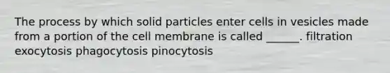 The process by which solid particles enter cells in vesicles made from a portion of the cell membrane is called ______. filtration exocytosis phagocytosis pinocytosis