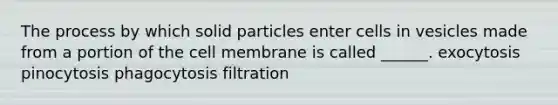 The process by which solid particles enter cells in vesicles made from a portion of the cell membrane is called ______. exocytosis pinocytosis phagocytosis filtration