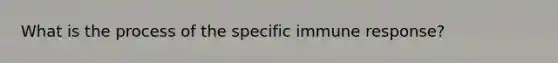 What is the process of the specific immune response?