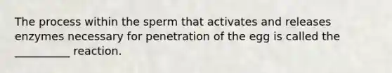 The process within the sperm that activates and releases enzymes necessary for penetration of the egg is called the __________ reaction.