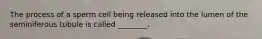 The process of a sperm cell being released into the lumen of the seminiferous tubule is called ________.