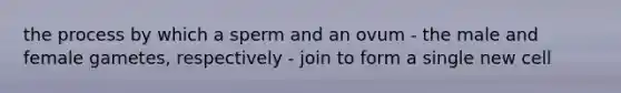 the process by which a sperm and an ovum - the male and female gametes, respectively - join to form a single new cell