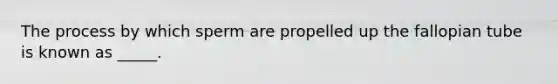 The process by which sperm are propelled up the fallopian tube is known as _____.