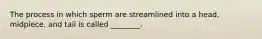 The process in which sperm are streamlined into a head, midpiece, and tail is called ________.