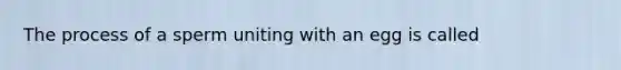 The process of a sperm uniting with an egg is called