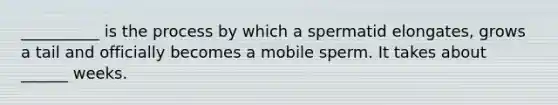 __________ is the process by which a spermatid elongates, grows a tail and officially becomes a mobile sperm. It takes about ______ weeks.