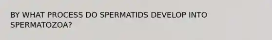 BY WHAT PROCESS DO SPERMATIDS DEVELOP INTO SPERMATOZOA?