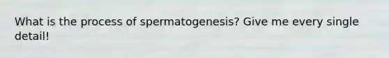 What is the process of spermatogenesis? Give me every single detail!