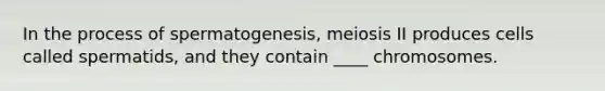 In the process of spermatogenesis, meiosis II produces cells called spermatids, and they contain ____ chromosomes.