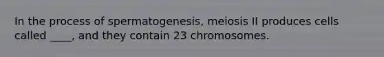 In the process of spermatogenesis, meiosis II produces cells called ____, and they contain 23 chromosomes.