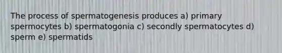 The process of spermatogenesis produces a) primary spermocytes b) spermatogonia c) secondly spermatocytes d) sperm e) spermatids