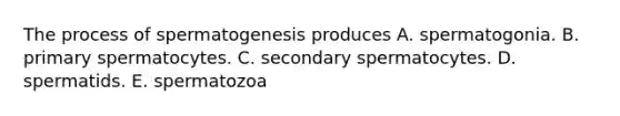 The process of spermatogenesis produces A. spermatogonia. B. primary spermatocytes. C. secondary spermatocytes. D. spermatids. E. spermatozoa