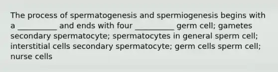 The process of spermatogenesis and spermiogenesis begins with a __________ and ends with four __________ germ cell; gametes secondary spermatocyte; spermatocytes in general sperm cell; interstitial cells secondary spermatocyte; germ cells sperm cell; nurse cells