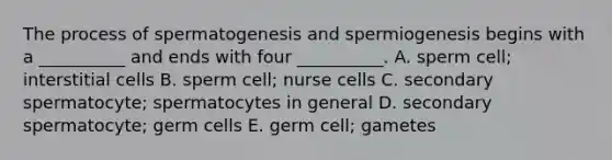 The process of spermatogenesis and spermiogenesis begins with a __________ and ends with four __________. A. sperm cell; interstitial cells B. sperm cell; nurse cells C. secondary spermatocyte; spermatocytes in general D. secondary spermatocyte; germ cells E. germ cell; gametes