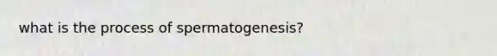 what is the process of spermatogenesis?