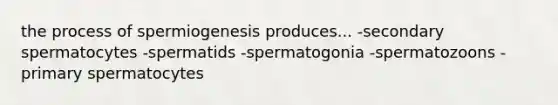 the process of spermiogenesis produces... -secondary spermatocytes -spermatids -spermatogonia -spermatozoons -primary spermatocytes