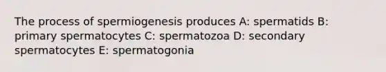 The process of spermiogenesis produces A: spermatids B: primary spermatocytes C: spermatozoa D: secondary spermatocytes E: spermatogonia