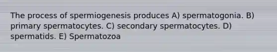 The process of spermiogenesis produces A) spermatogonia. B) primary spermatocytes. C) secondary spermatocytes. D) spermatids. E) Spermatozoa