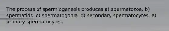 The process of spermiogenesis produces a) spermatozoa. b) spermatids. c) spermatogonia. d) secondary spermatocytes. e) primary spermatocytes.