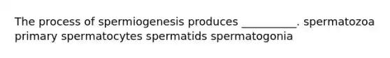 The process of spermiogenesis produces __________. spermatozoa primary spermatocytes spermatids spermatogonia