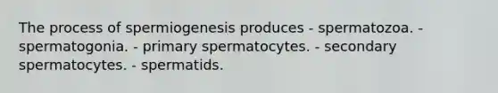 The process of spermiogenesis produces - spermatozoa. - spermatogonia. - primary spermatocytes. - secondary spermatocytes. - spermatids.