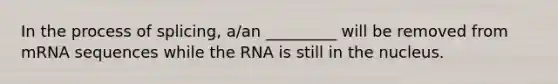 In the process of splicing, a/an _________ will be removed from mRNA sequences while the RNA is still in the nucleus.