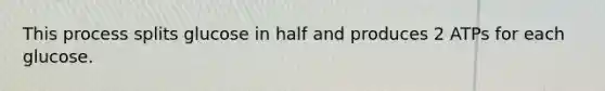 This process splits glucose in half and produces 2 ATPs for each glucose.