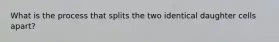 What is the process that splits the two identical daughter cells apart?