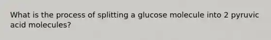 What is the process of splitting a glucose molecule into 2 pyruvic acid molecules?