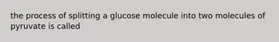 the process of splitting a glucose molecule into two molecules of pyruvate is called