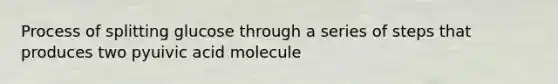 Process of splitting glucose through a series of steps that produces two pyuivic acid molecule