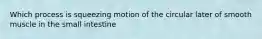 Which process is squeezing motion of the circular later of smooth muscle in the small intestine