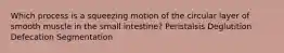 Which process is a squeezing motion of the circular layer of smooth muscle in the small intestine? Peristalsis Deglutition Defecation Segmentation