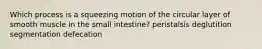 Which process is a squeezing motion of the circular layer of smooth muscle in the small intestine? peristalsis deglutition segmentation defecation