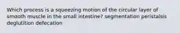 Which process is a squeezing motion of the circular layer of smooth muscle in the small intestine? segmentation peristalsis deglutition defecation