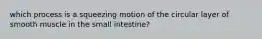 which process is a squeezing motion of the circular layer of smooth muscle in the small intestine?