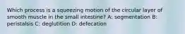 Which process is a squeezing motion of the circular layer of smooth muscle in the small intestine? A: segmentation B: peristalsis C: deglutition D: defecation