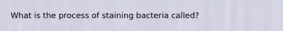 What is the process of staining bacteria called?