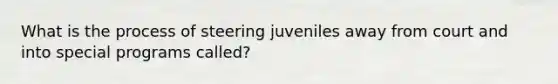 What is the process of steering juveniles away from court and into special programs called?